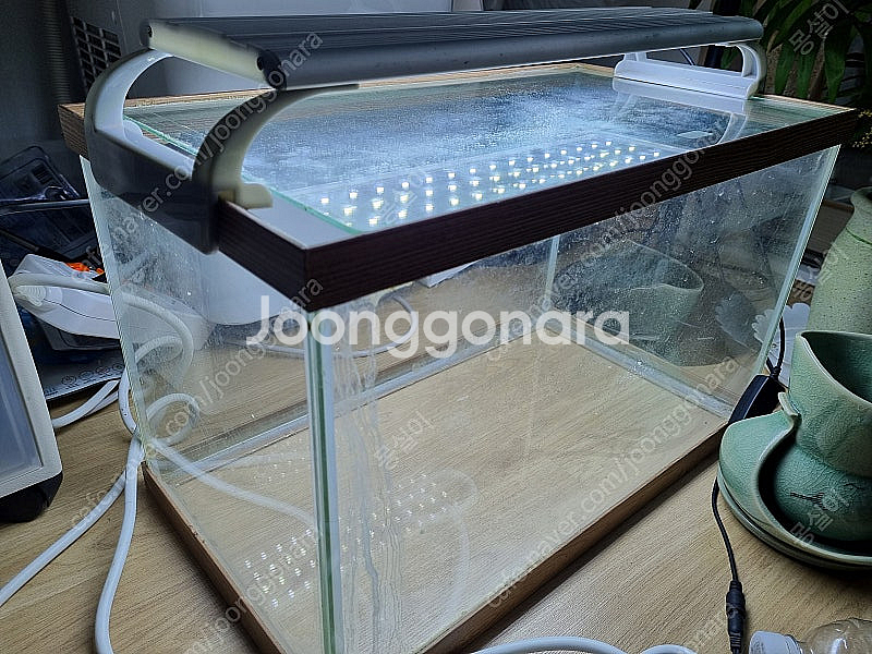 어항과조명--0