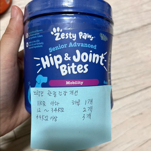 제스티 포우즈 시니어 힙 & 조인트 바이트 영양제