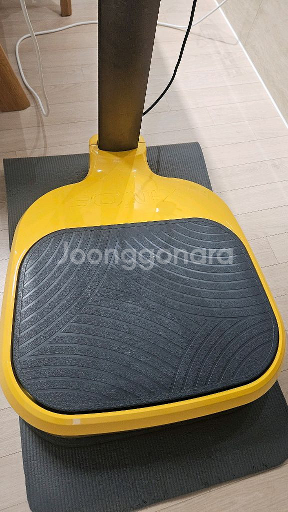 소닉스 필레오 음파진동 운동기--8