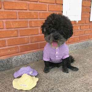 강아지옷 고양이옷 봄여름 체크블라우스 티셔츠 2XL