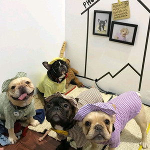 강아지옷 고양이옷 봄여름 체크블라우스 티셔츠 2XL