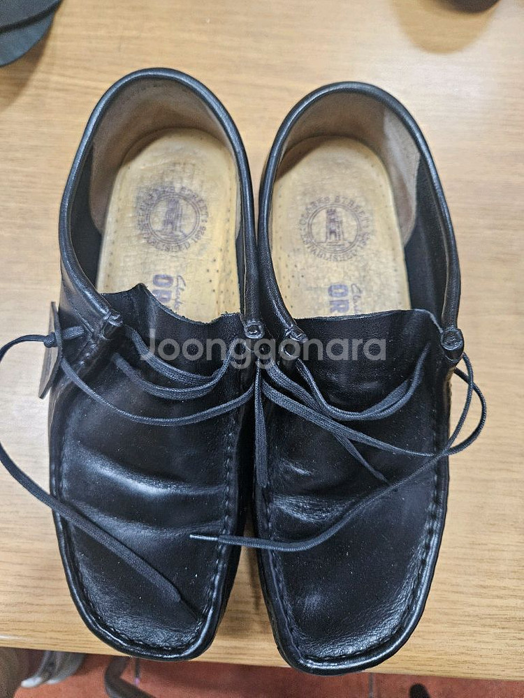 클락스 왈라비--0