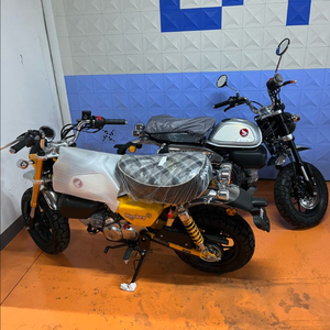 혼다 몽키125 2023년식
