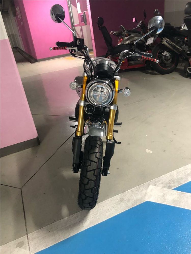 혼다 몽키125 노랑 2023년식 미등록 신차 0 키로 이미지