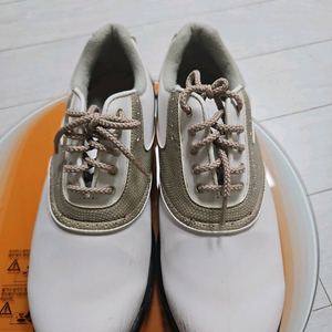 풋조이골프화245