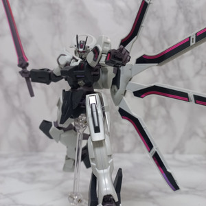 HG 건담 슈바르제테 가조