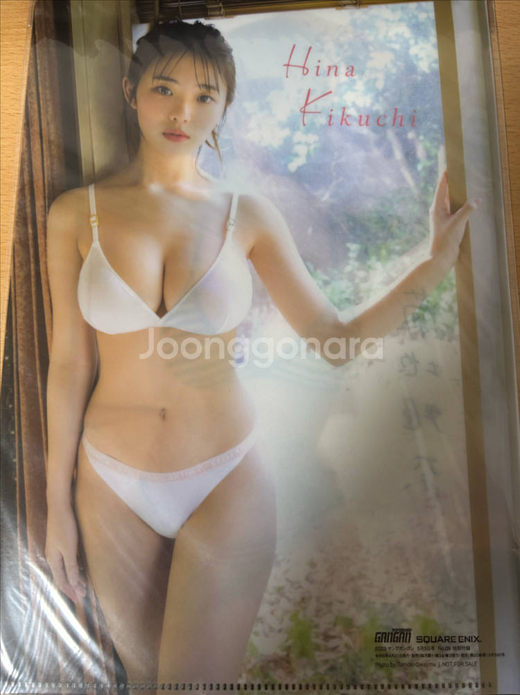 그라비아 G컵 키쿠치 히나 2024캘린더, 수영복 잡지--3