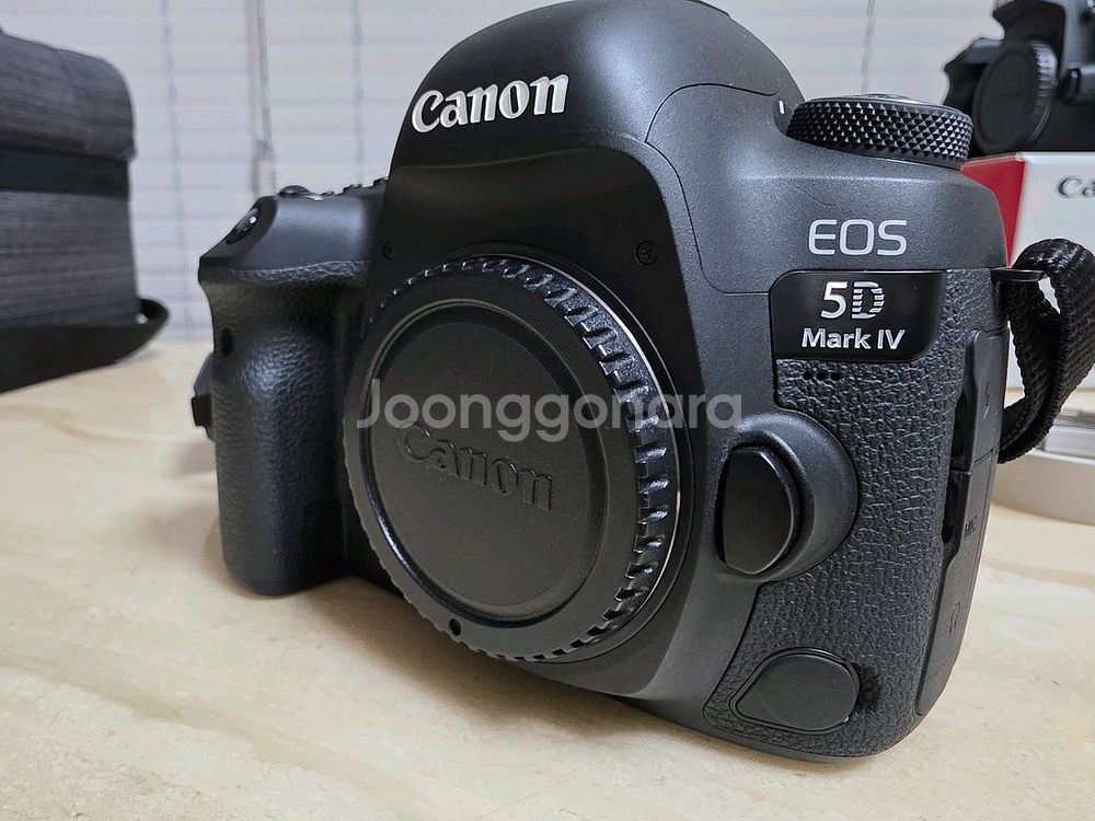 5D MARK4--3