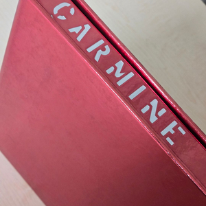 사다모토 요시유키 CARMINE 화보집