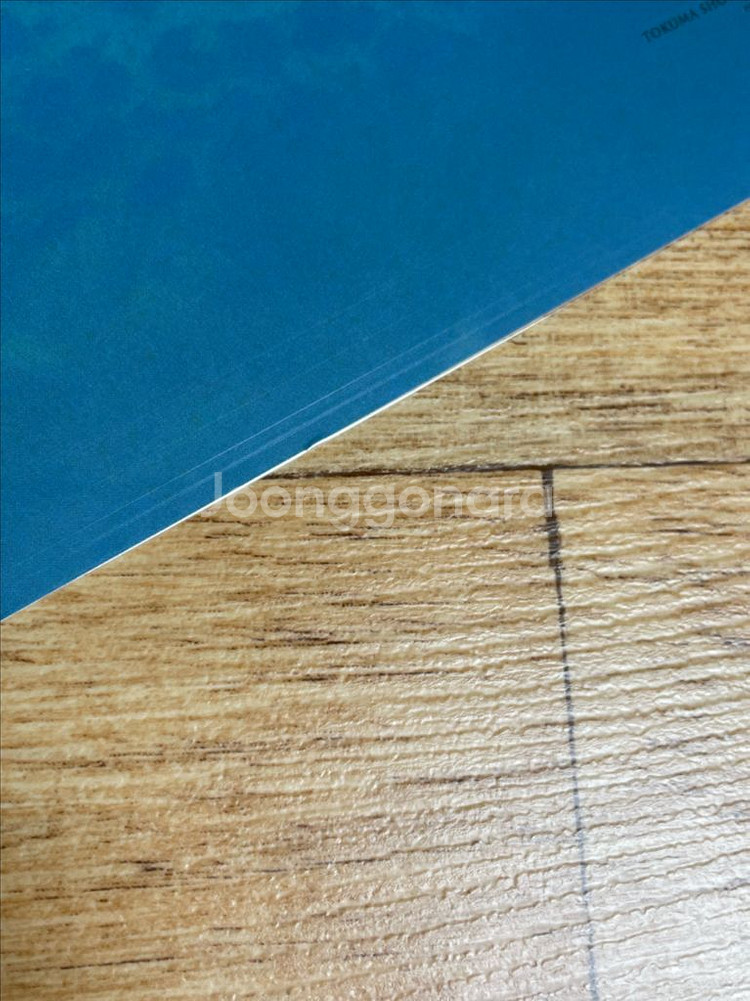 바람계곡의 나우시카 a3 포스터 모음 지브리 굿즈--6