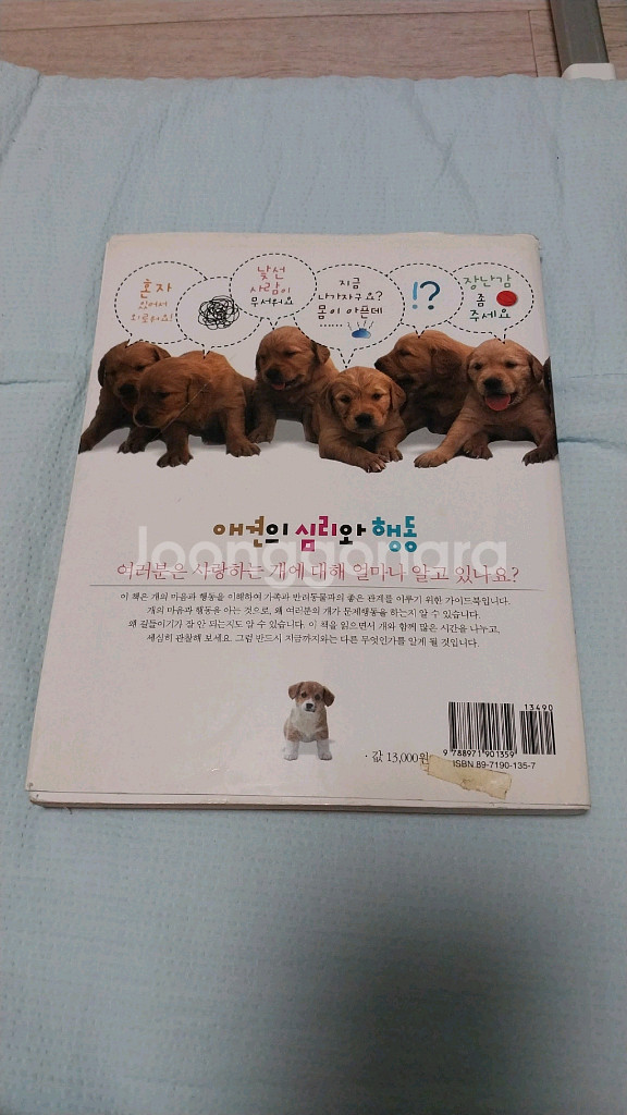 애견의심리와행동--1