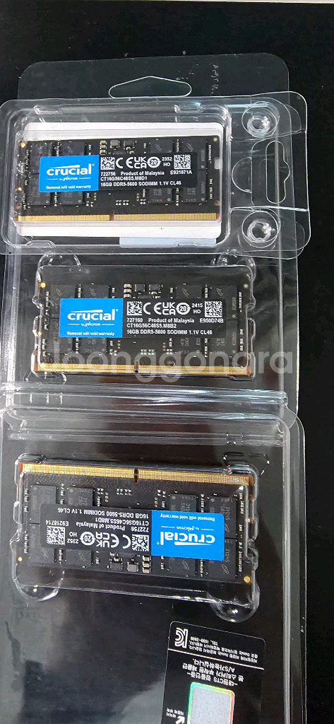 crucial 16기가 5600 대원 정품 3개--0