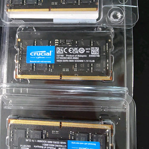 crucial 16기가 5600 대원 정품 3개