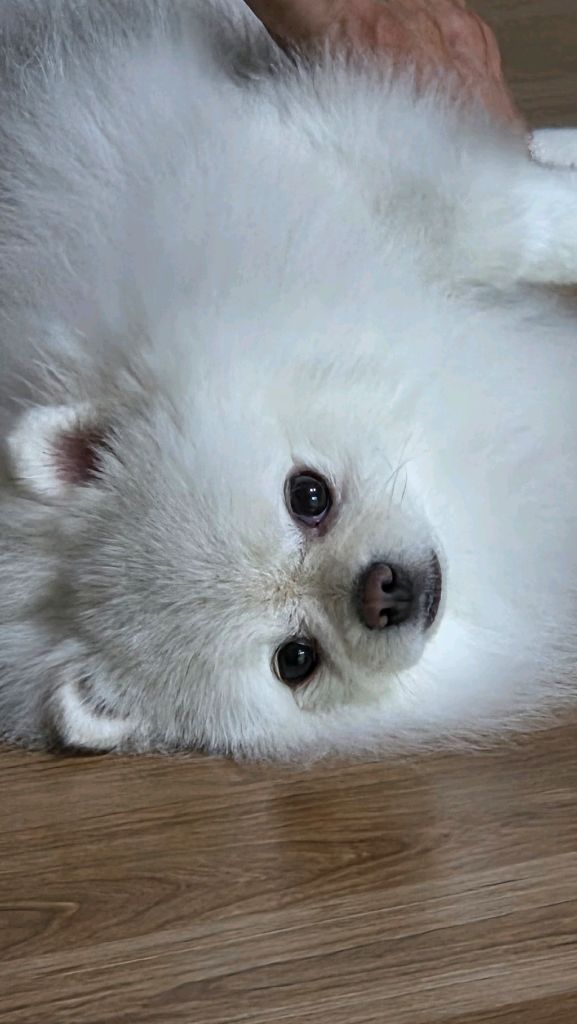 profile-image