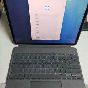 아이패드프로 6세대 / M2 /2Tb