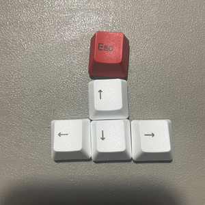 리얼포스 텐키리스 먹각 키캡 + 화이트 방향키캡 판매