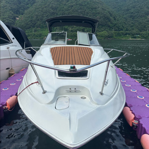 리갈 하우스보트 디젤엔진 팝니다