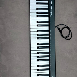 엠오디오 m audio 49