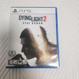 플스5 다잉라이트2