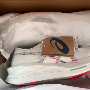 아식스 소닉블라스트