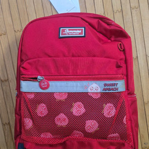 쌤소나이트 초등책가방(새상품)