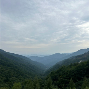 아크테릭스 베타 자켓 구합니다~