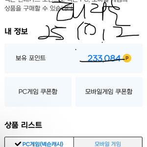 넥슨캐시 23만원