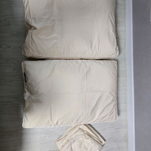 세사온라인 펫방석