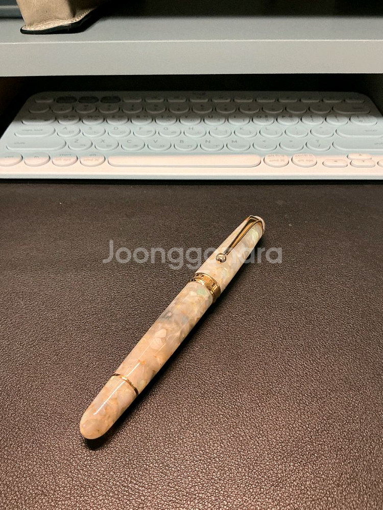 오로라 볼테라 f 만년필--0