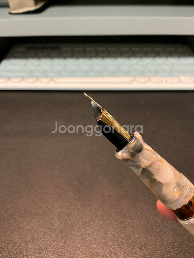오로라 볼테라 f 만년필--2