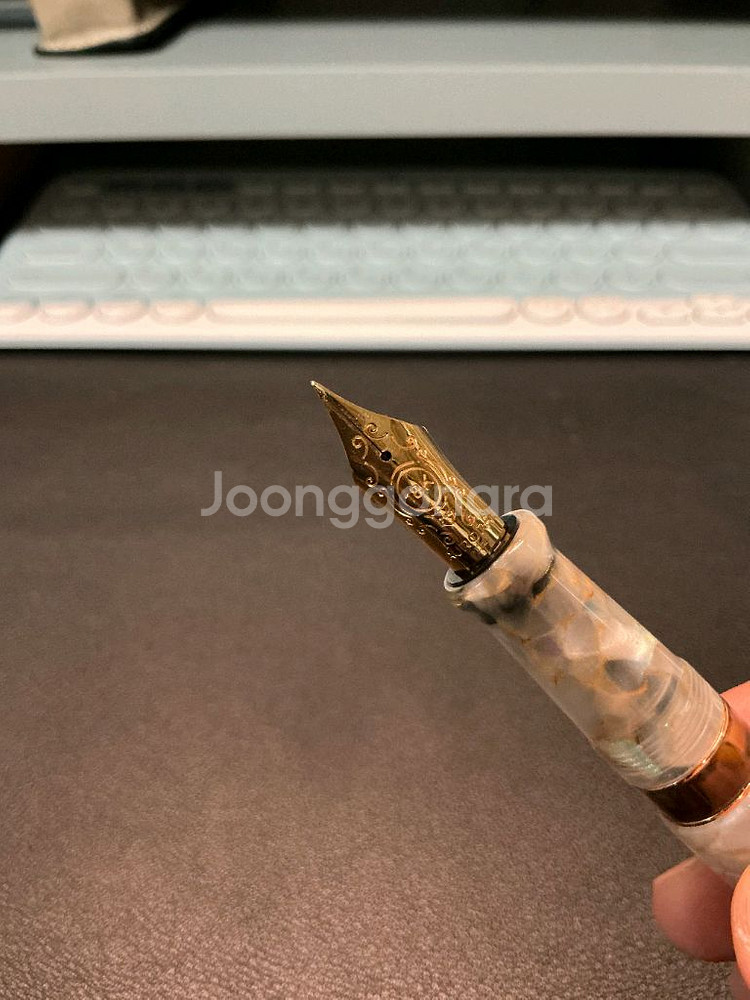 오로라 볼테라 f 만년필--1