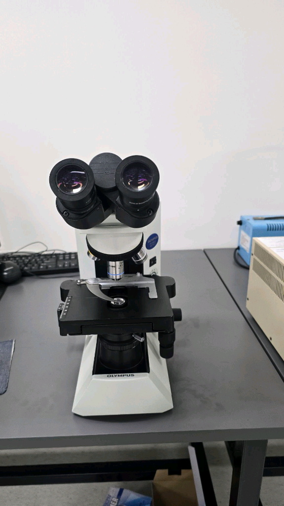 올림푸스 생물현미경 CX31 이미지