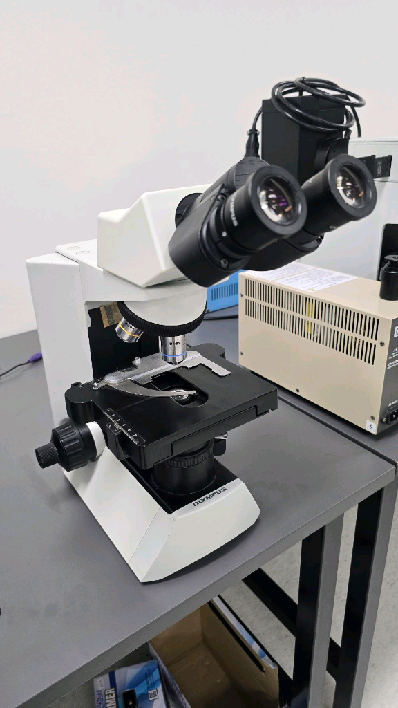 올림푸스 생물현미경 CX31 이미지