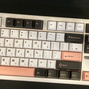 독거미 aula 한글 풀배열 f108 황축 (택포)