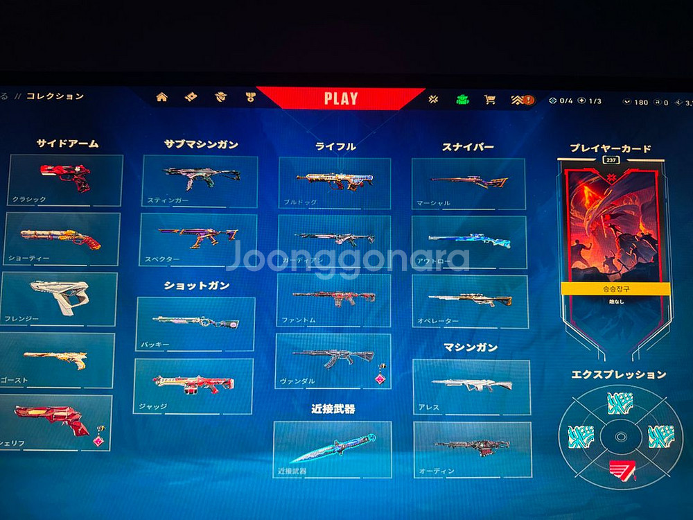 한섭)발로란트 네고x 전불멸 올스킨 200정도 현질한--1