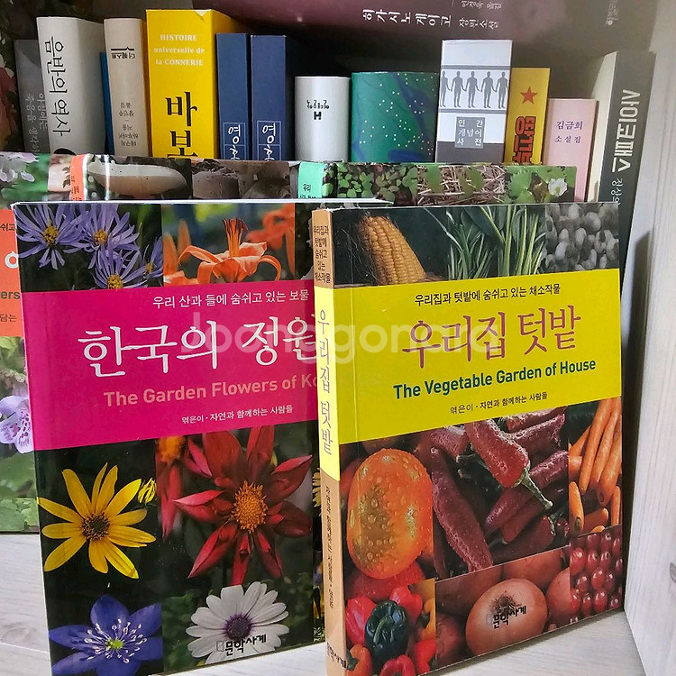 한국의 야생화, 산나물,정원화,버섯,우리집텃밭--3