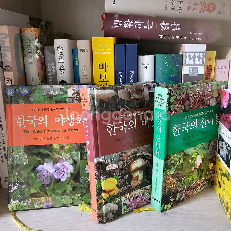 한국의 야생화, 산나물,정원화,버섯,우리집텃밭--2