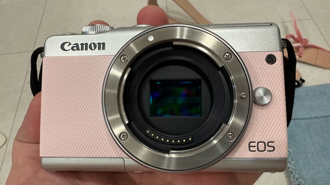 한정판 핑크) 캐논 eos m100--4