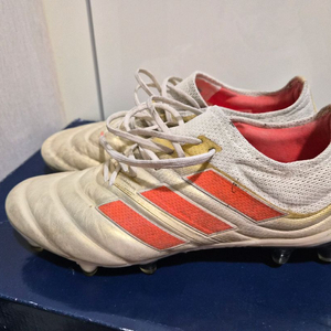 아디다스 코파 19.1 오프화이트 265