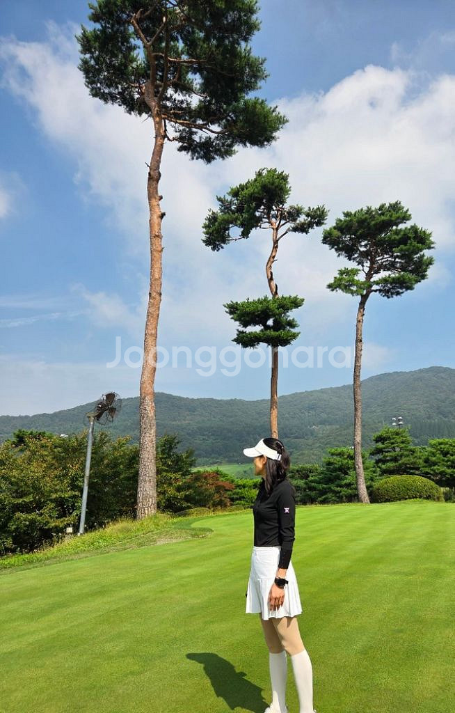 어뉴 정품 티셔츠 택달린새상품--9
