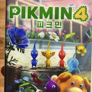 닌텐도 스위치 ) 피크민4