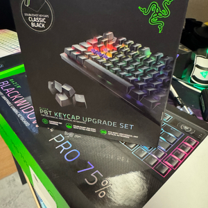razer 블랙위도우 v4 pro 75%