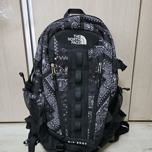 노스페이스 빅샷 페이즐리