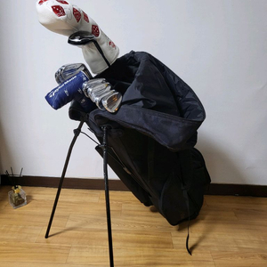 남성 P790, GTD 장타구성 골프채풀세트 판매합니다