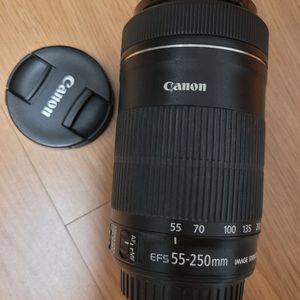 캐논 ef-s 55-250mm IS STM 렌즈