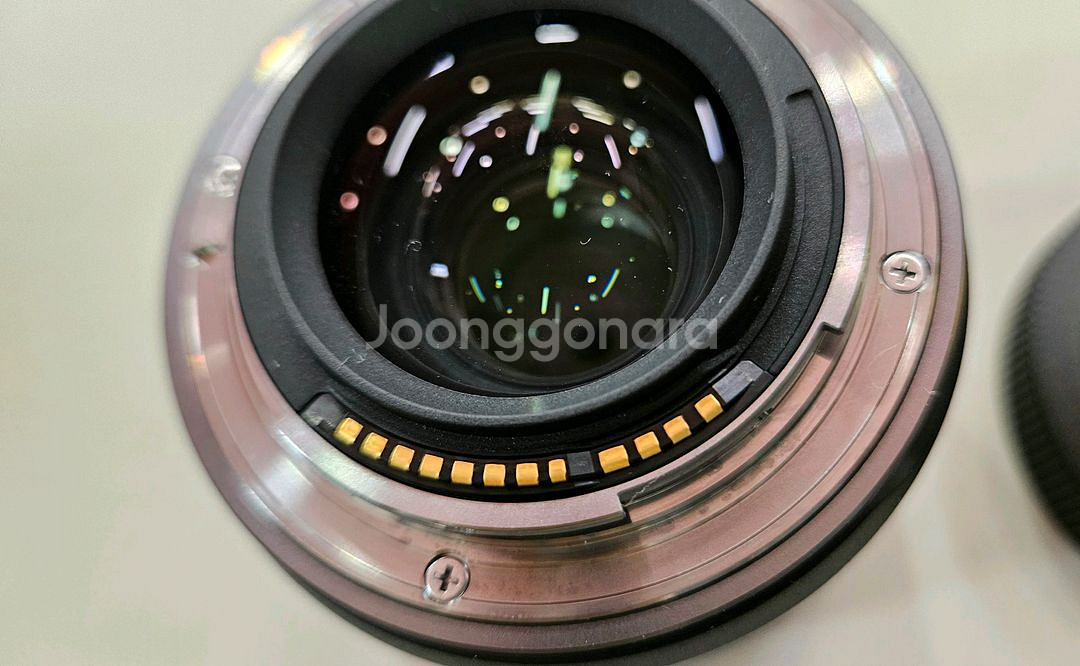 캐논 RF 24mm F1.8 MACRO IS STM--5