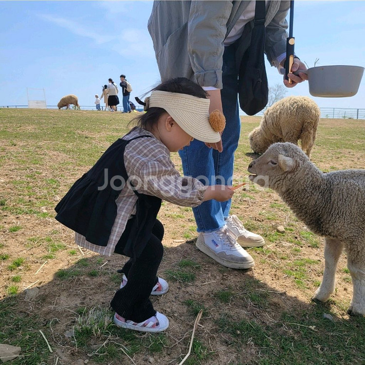 여아옷 유아옷 가을옷 세트--6