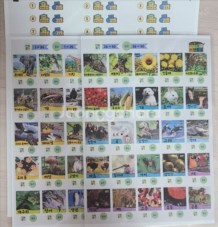 프뢰벨 생생다큐자연관찰 붙임딱지(씽킹펜 스티커)+송카드--0