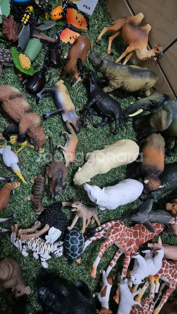 동물피규어 뮤고랑--4