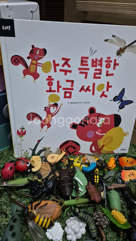 동물피규어 뮤고랑--6